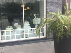 门面-蒲公英(五里店)