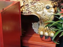 -龙华寺