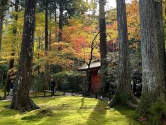 -三千院