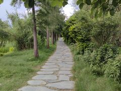 -才村湿地公园