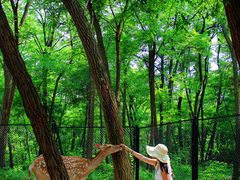 -南戴河国际娱乐中心