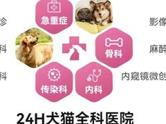 -全心全意连锁动物医院·微创中心·内科急重症·心脏专科(丰管路店)