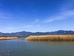 -野鸭湖国家湿地公园