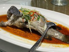 -老洋房花园饭店(绍兴路店)