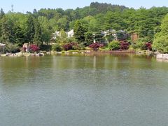 -四明山国家森林公园