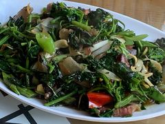 -四姑娘山阿巴郎·藏式花园餐厅