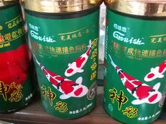 -中环花鸟鱼虫市场