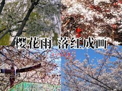 -堤角公园