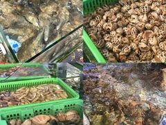 -友强·23年特色海鲜大排档(厦门店)
