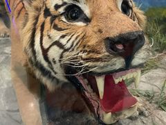 -国家自然博物馆