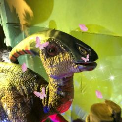 -恐龙探索乐园(磁器口店)