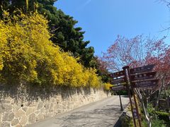 -烟台山景区