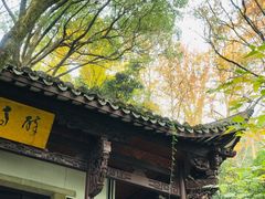 -严子陵钓台(富春江小三峡)