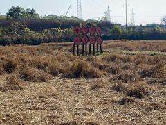 -武汉紫薇都市田园