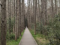 -同里国家湿地公园