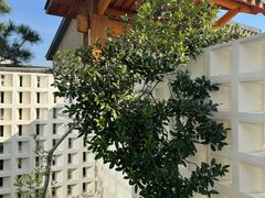 -东钱湖旅游度假区