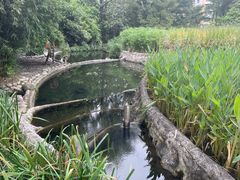 -成都市活水公园