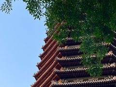 -玲珑塔公园