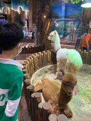 -宝燕乐园(闵行旗舰店)