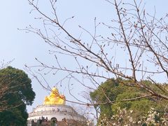 -苏州上方山国家森林公园