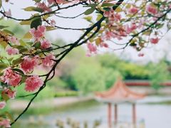 -北岭山森林公园