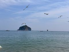 -棒棰岛宾馆景区