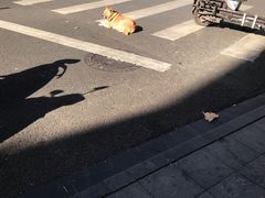 -老赵面店(大西路店)