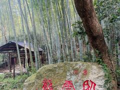 -东林大峡谷