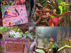 -正佳雨林生态植物园