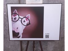 一条狗的使命之狗狗摄影展-百美汇影城(LUXE嘉里中心店)