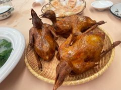 -光明刘冰乳鸽店(光明法政北路店)