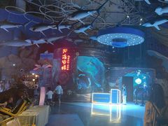 -烟台海昌鲸鲨海洋公园