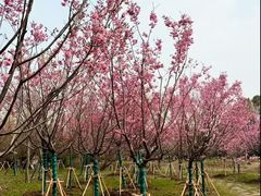 -梁鸿国家湿地公园