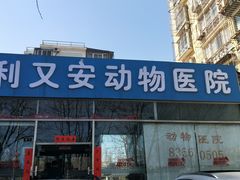 -利又安动物医院··老年病·猫科犬科·中兽医