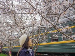 -新天地活力PARK