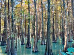 -星湖旅游景区七星岩