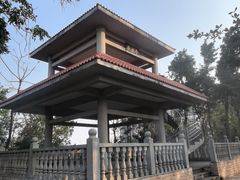 -中澳友谊花园