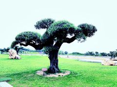 -南通洲际绿博园