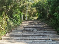 -仙岳公园