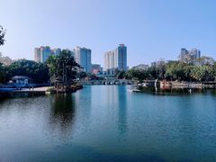 -荔湾湖公园