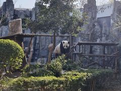 -五龙山野生动物王国