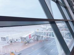 -上海浦东国际机场-T2航站楼