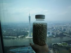 -广州四季酒店