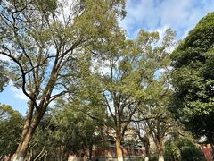 -岳麓山风景名胜区