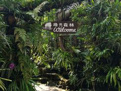 -绿光森林餐厅