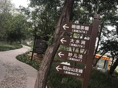 -阳台山自然风景区