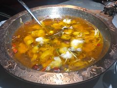 -雲蜀龙阁·金牌水煮鱼(方庄店)