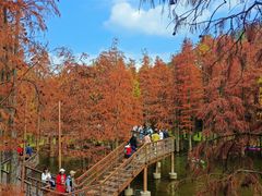 -青山湖景区