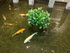 -唐山宴百姓府邸院落中餐