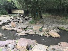 -兰亭风景区